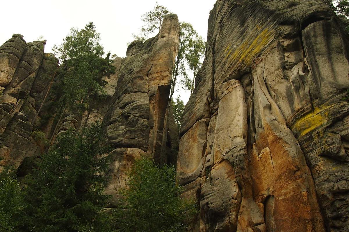 Creating and Inserting Elements Into the DOM