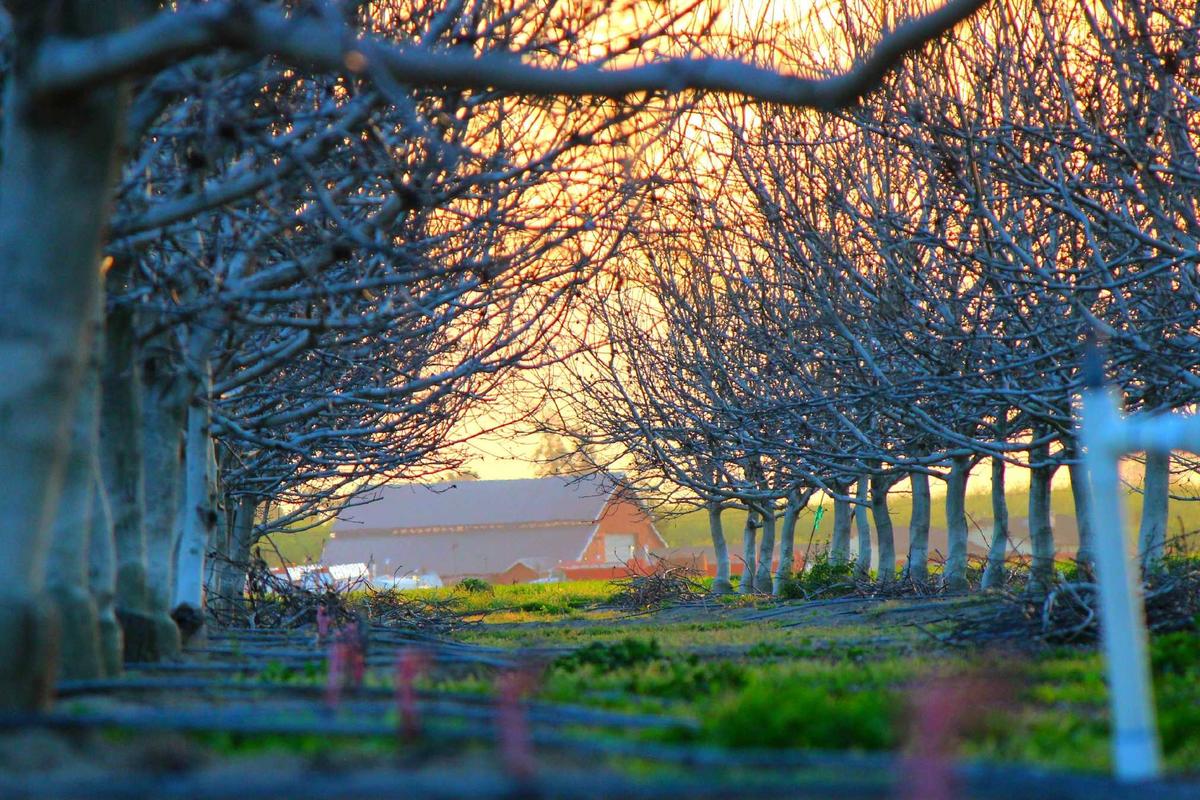 Handling Gaps, Alignment, and Whitespace in Complex Grids