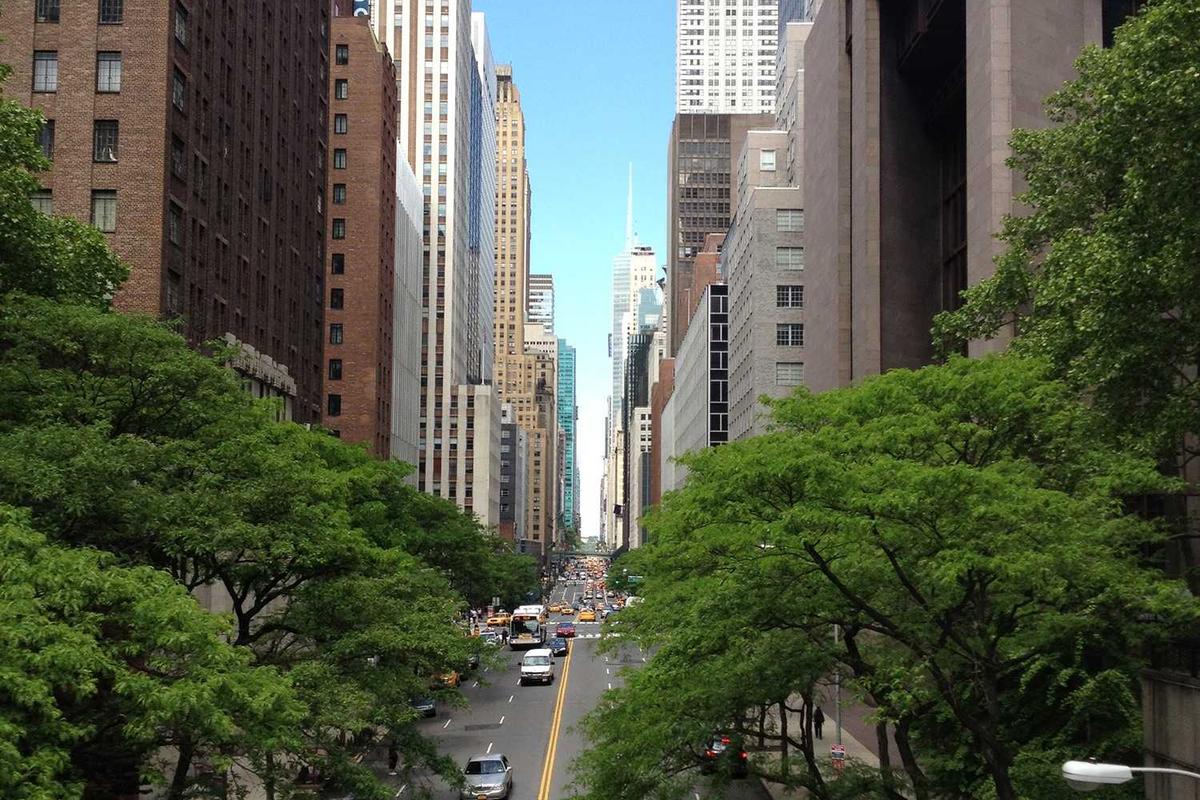 How Should You Organize Menu Items by Priority and Purpose?