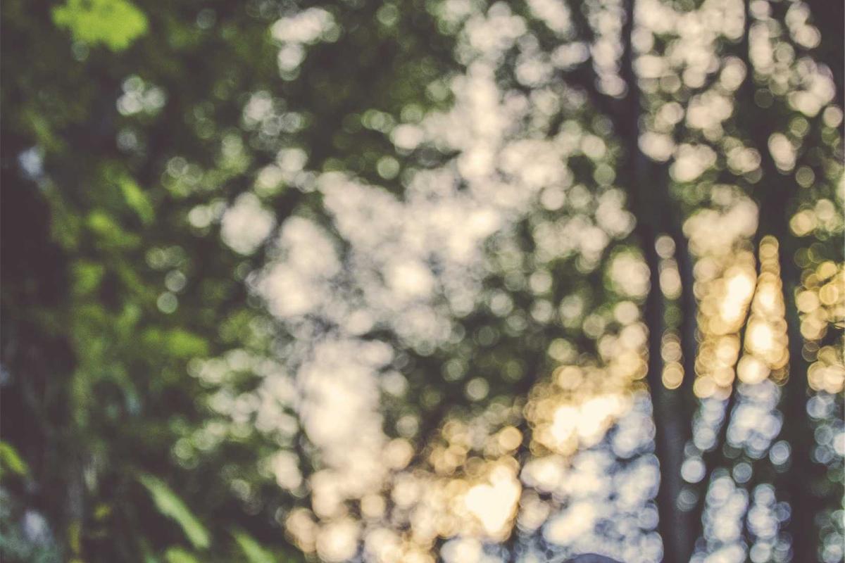 How to Manipulate the DOM With Vanilla JavaScript - Featured image