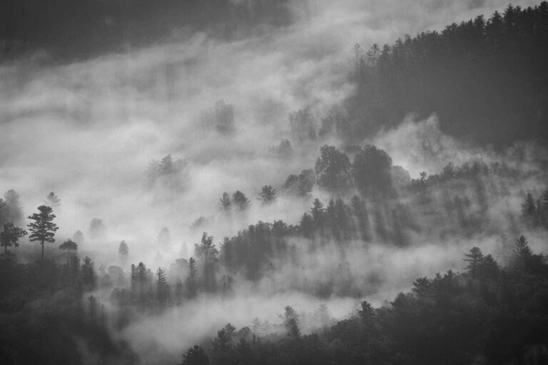 How to Use JavaScript Fetch API for AJAX Without jQuery - Featured image