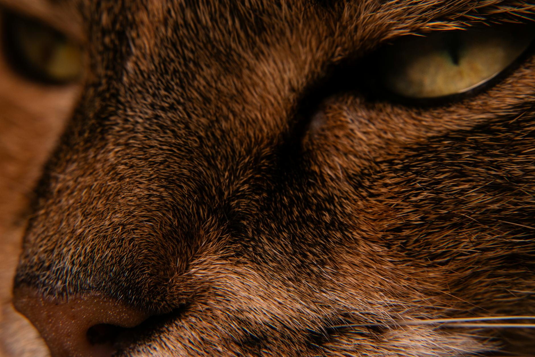 Understanding Photoshop Layers as Your Design Foundation