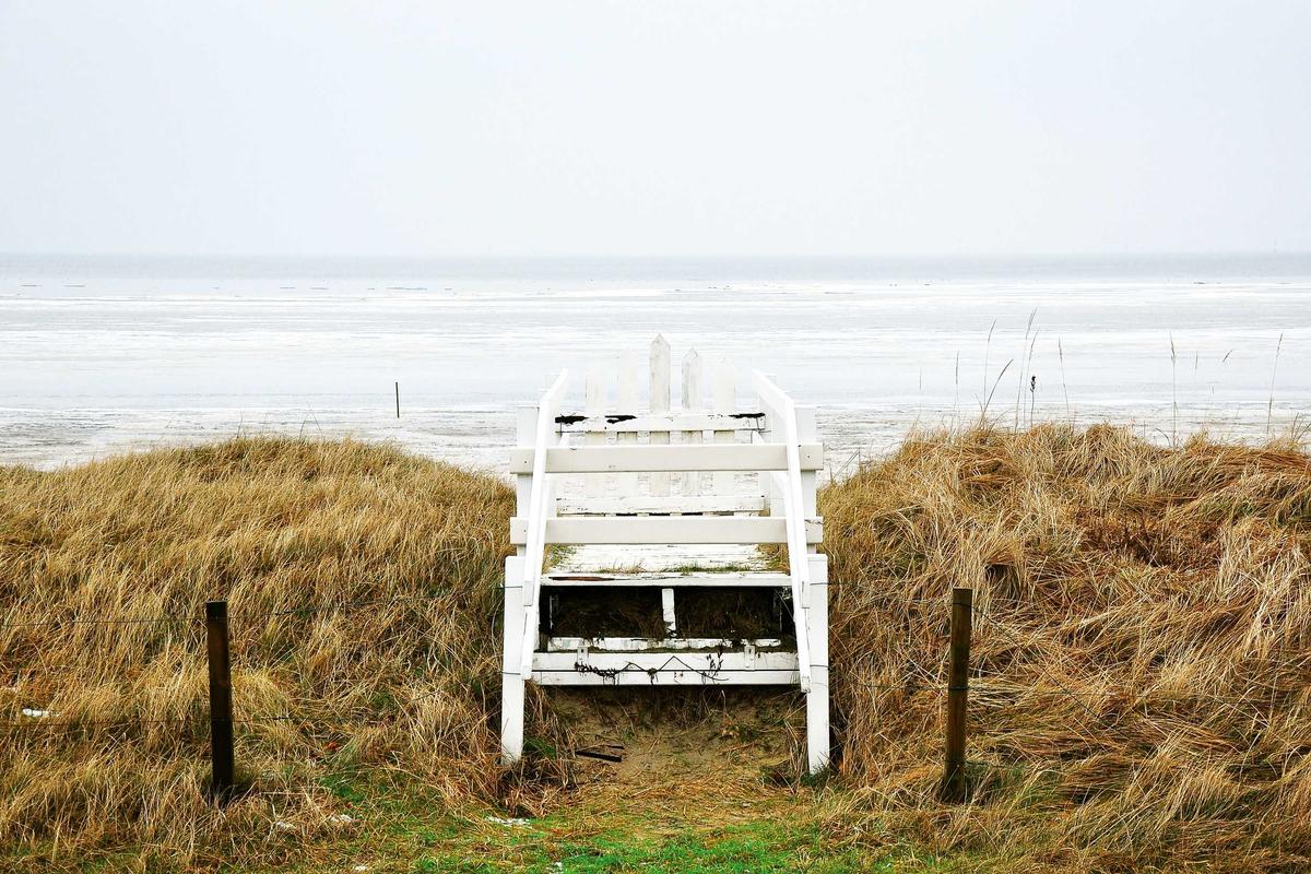 User Experience and Learning Curve for Different Team Types