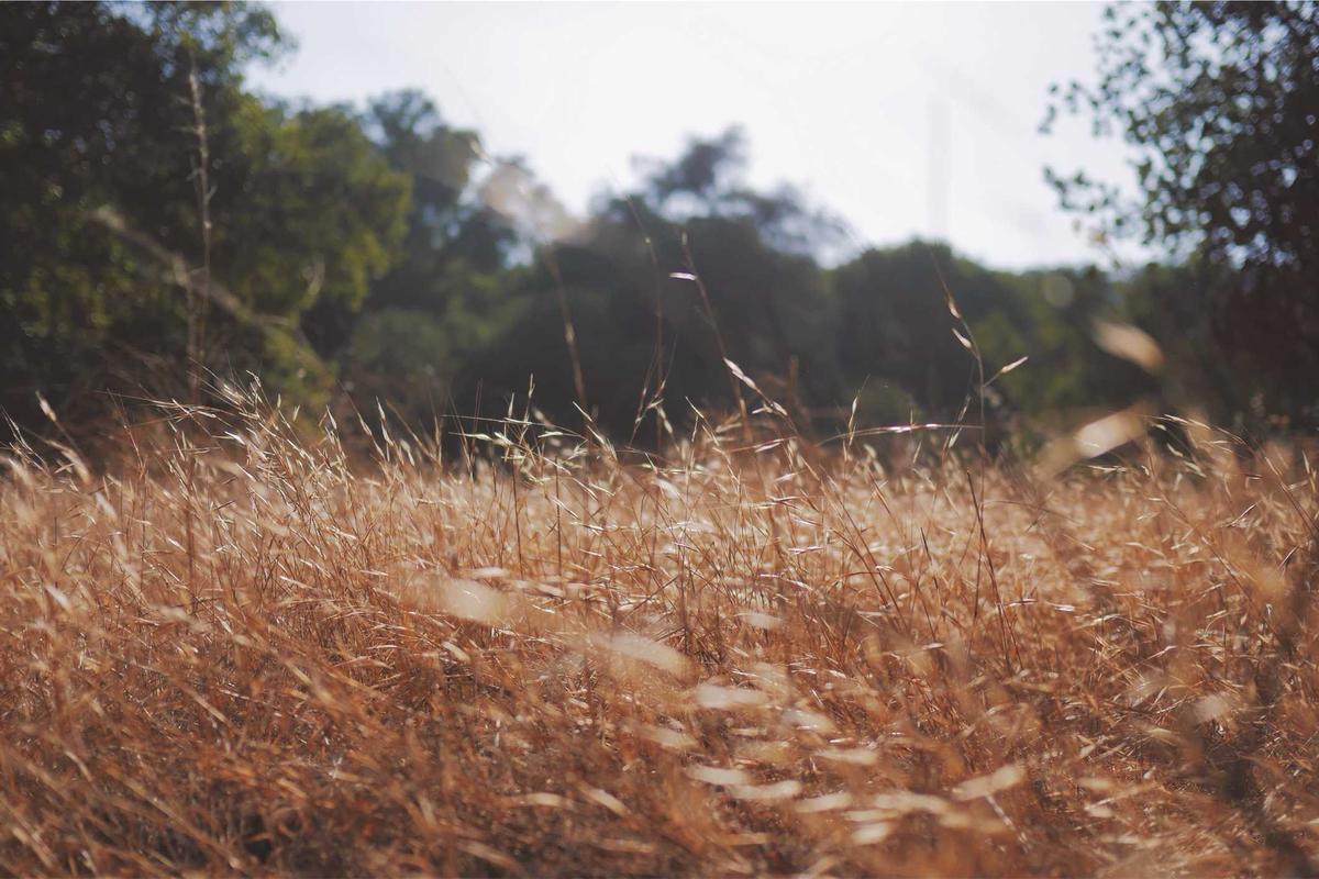 What Are Common Performance and Maintenance Challenges with Pure JavaScript SPAs?