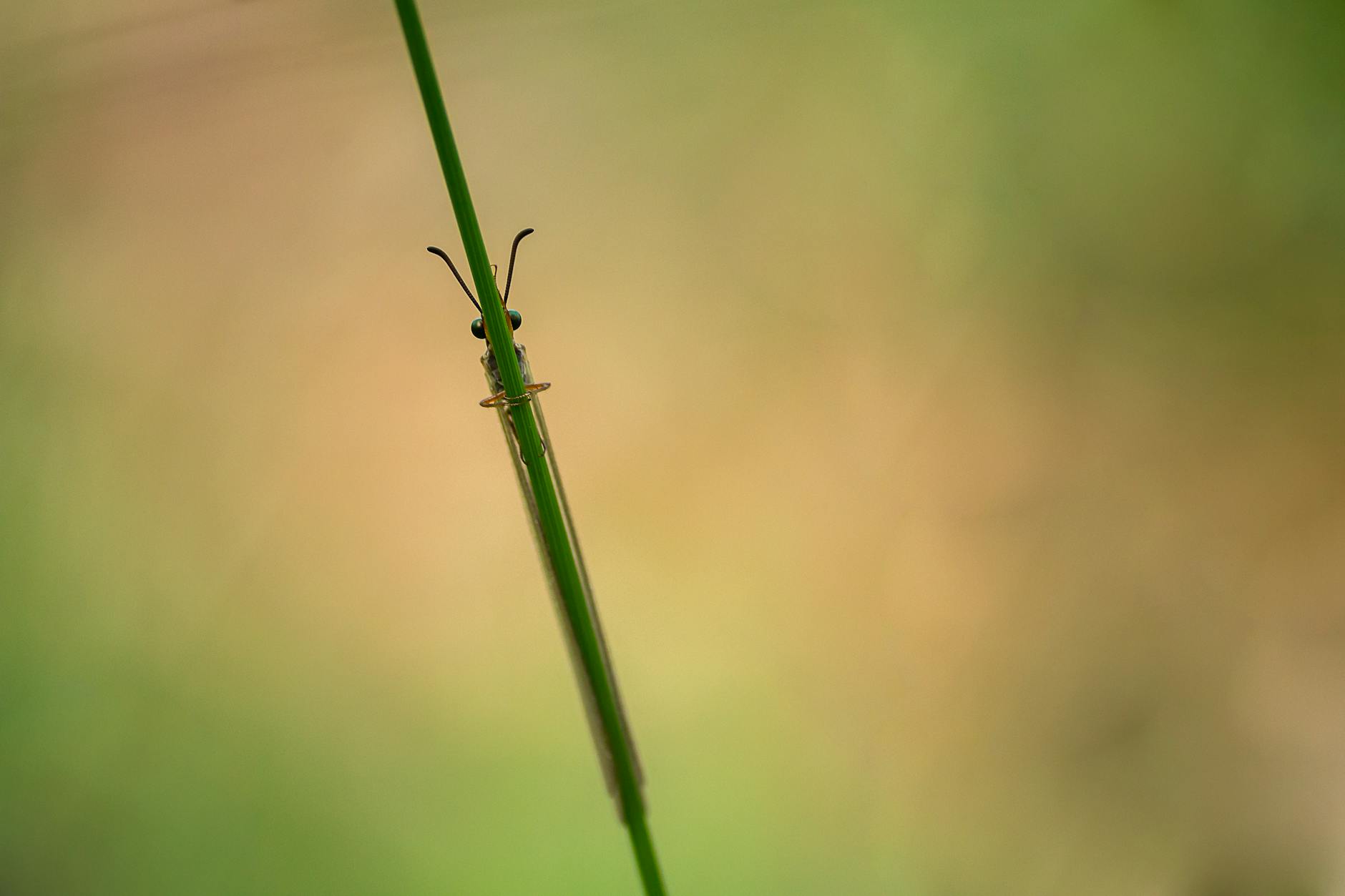 What Are JIRA Projects and How Do You Create One?