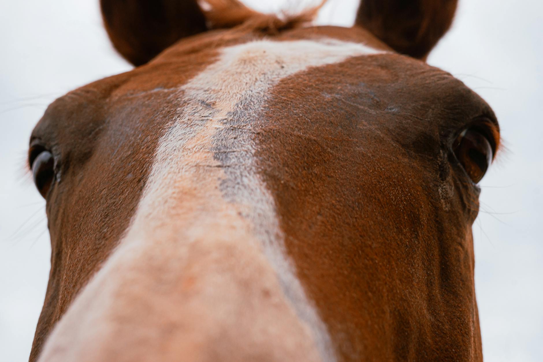 What Are the Best MySQL Backup Methods and When Should You Use Each One?