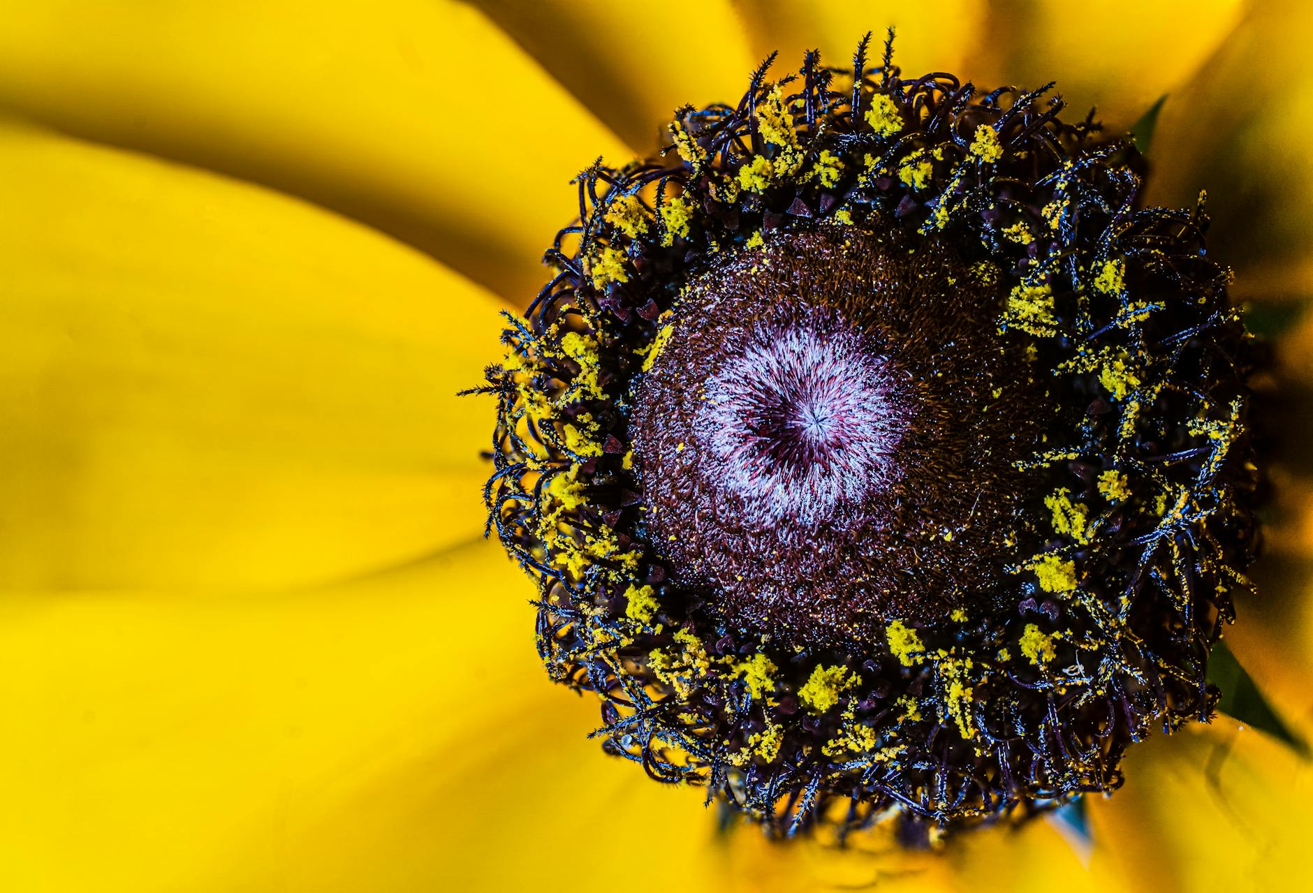 What Are the Core Responsibilities and Success Metrics for Each Role?