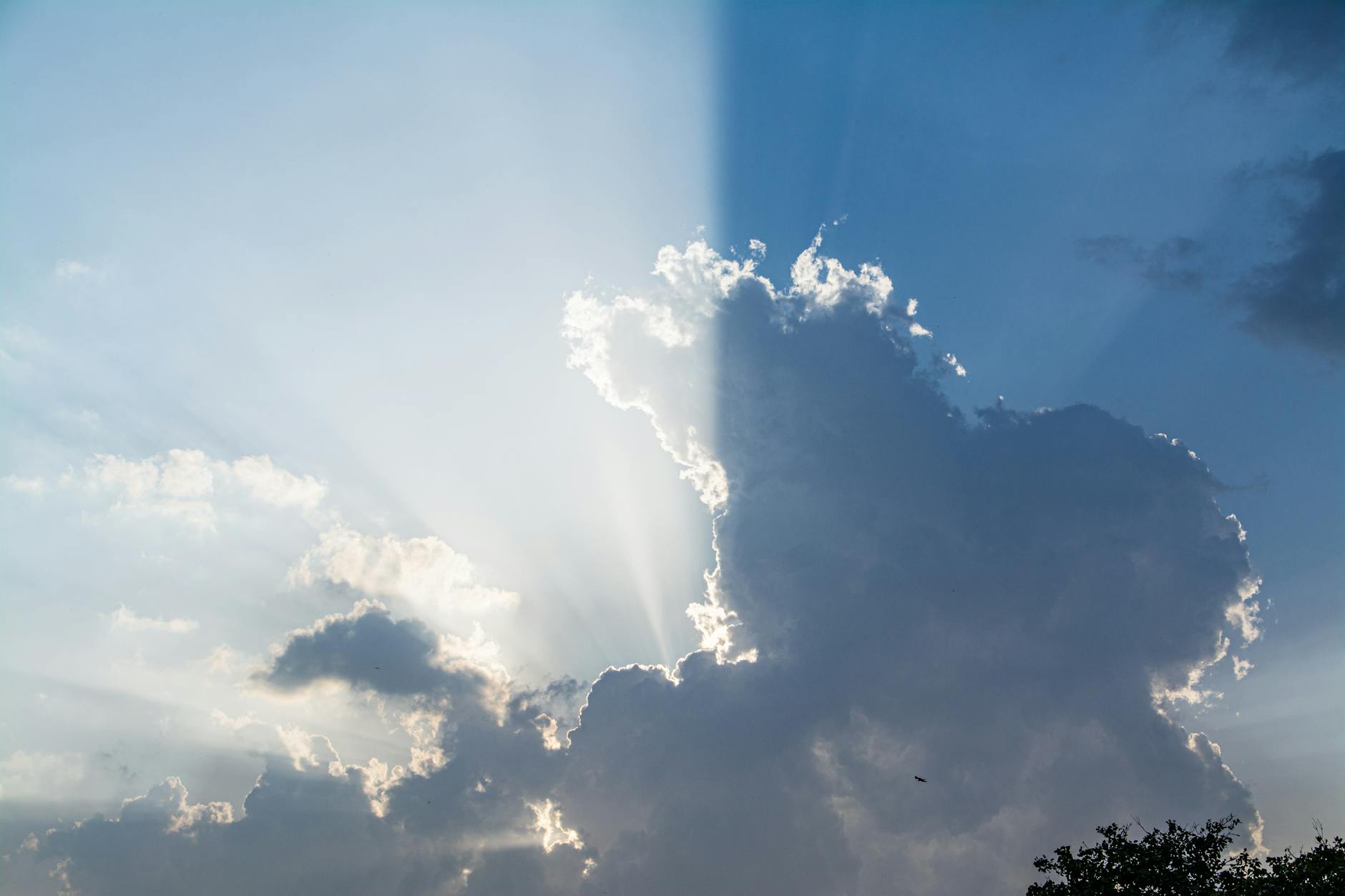 What Is AWS CloudFront and How Does It Speed Up Your Website?