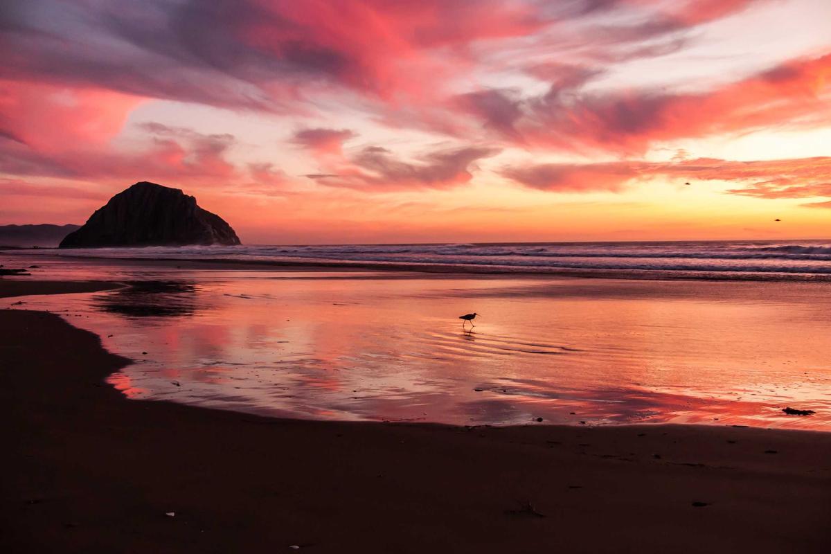 What Makes a Navbar Truly Responsive?