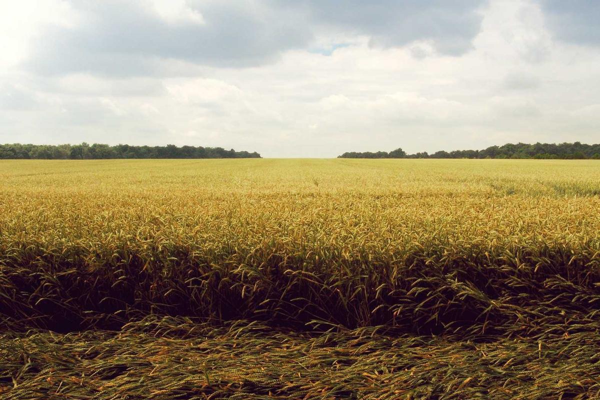 Why Is Versioning Essential for File Safety in S3?