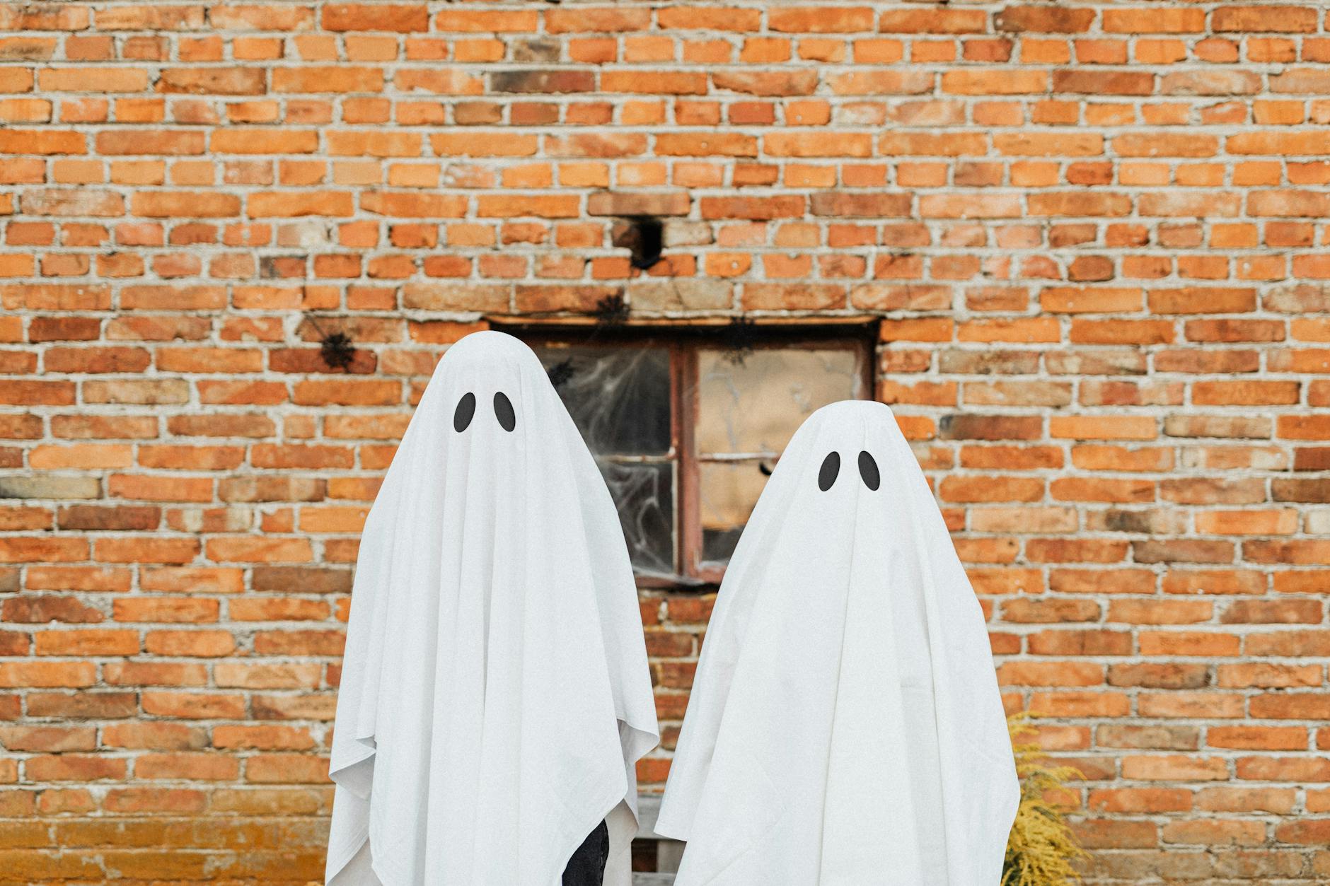 Ghost Plugin With 4.8 Million Installs Discovered to Have Backdoor Malware - Featured image