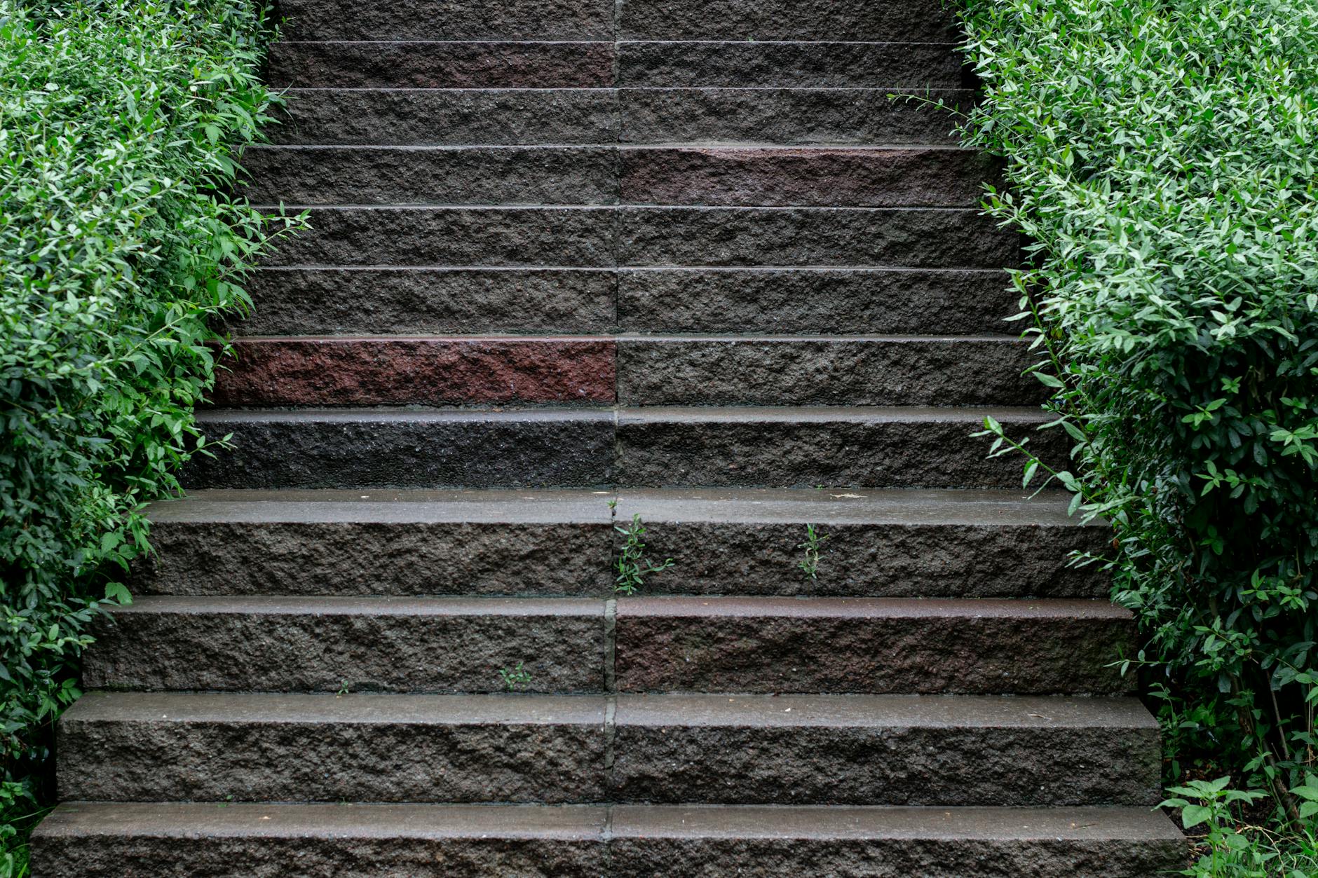 Immediate Steps Wix Took to Address the Threat