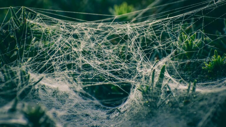 New Zero Day Webflow Vulnerability Lets Hackers Take Over Sites in Seconds - Featured image