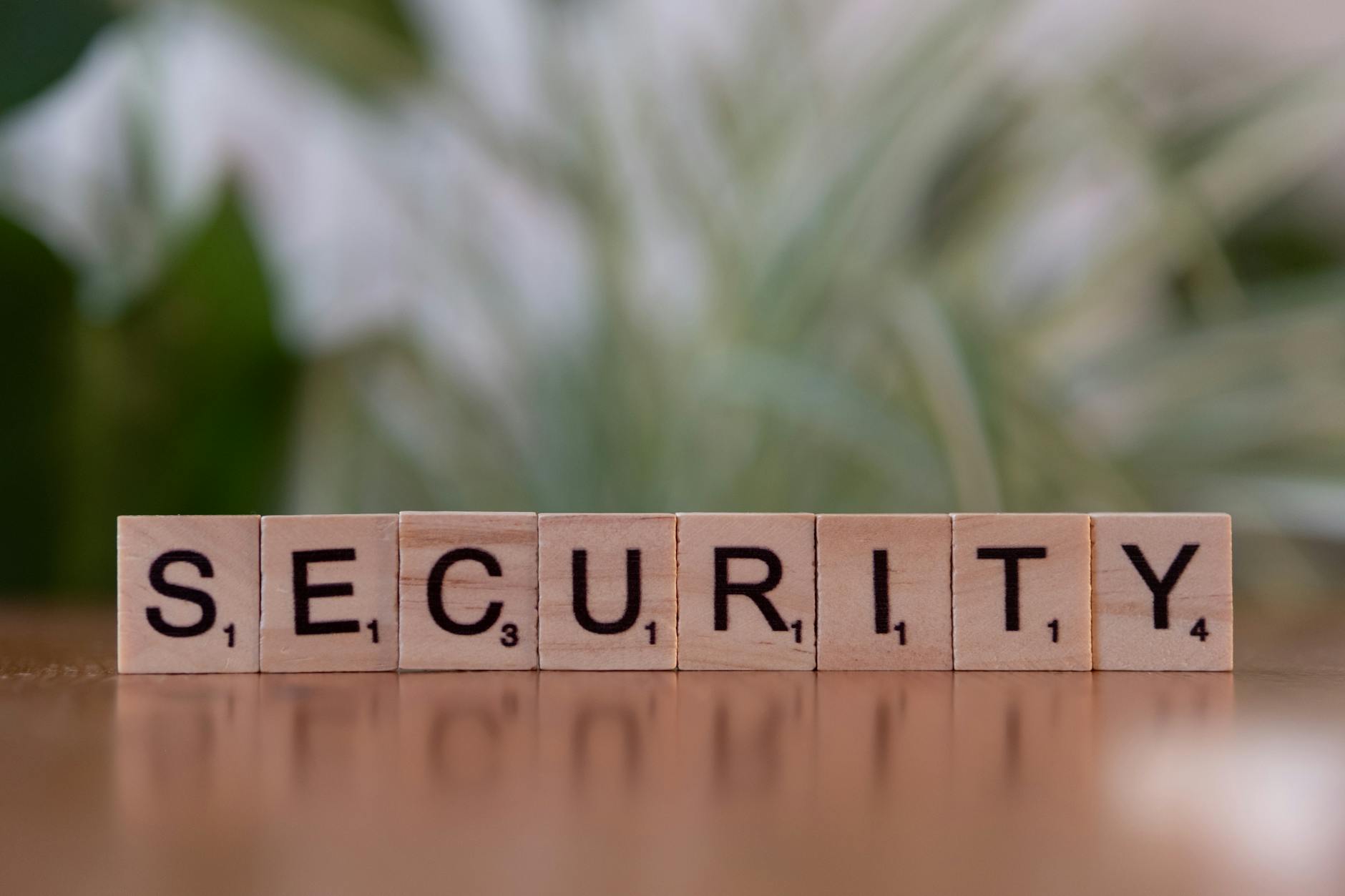 Recent Zero-Day Activity and Broader Web Platform Threats