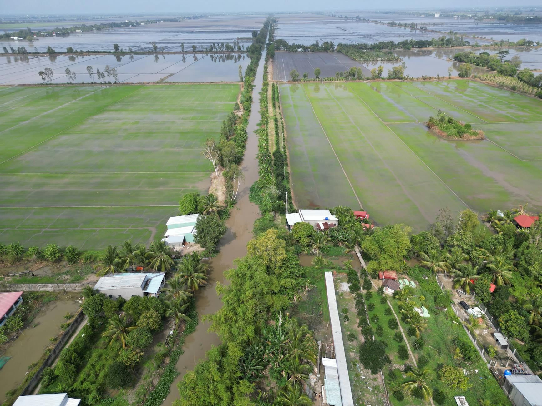 The Scale and Geographic Distribution of Affected Sites