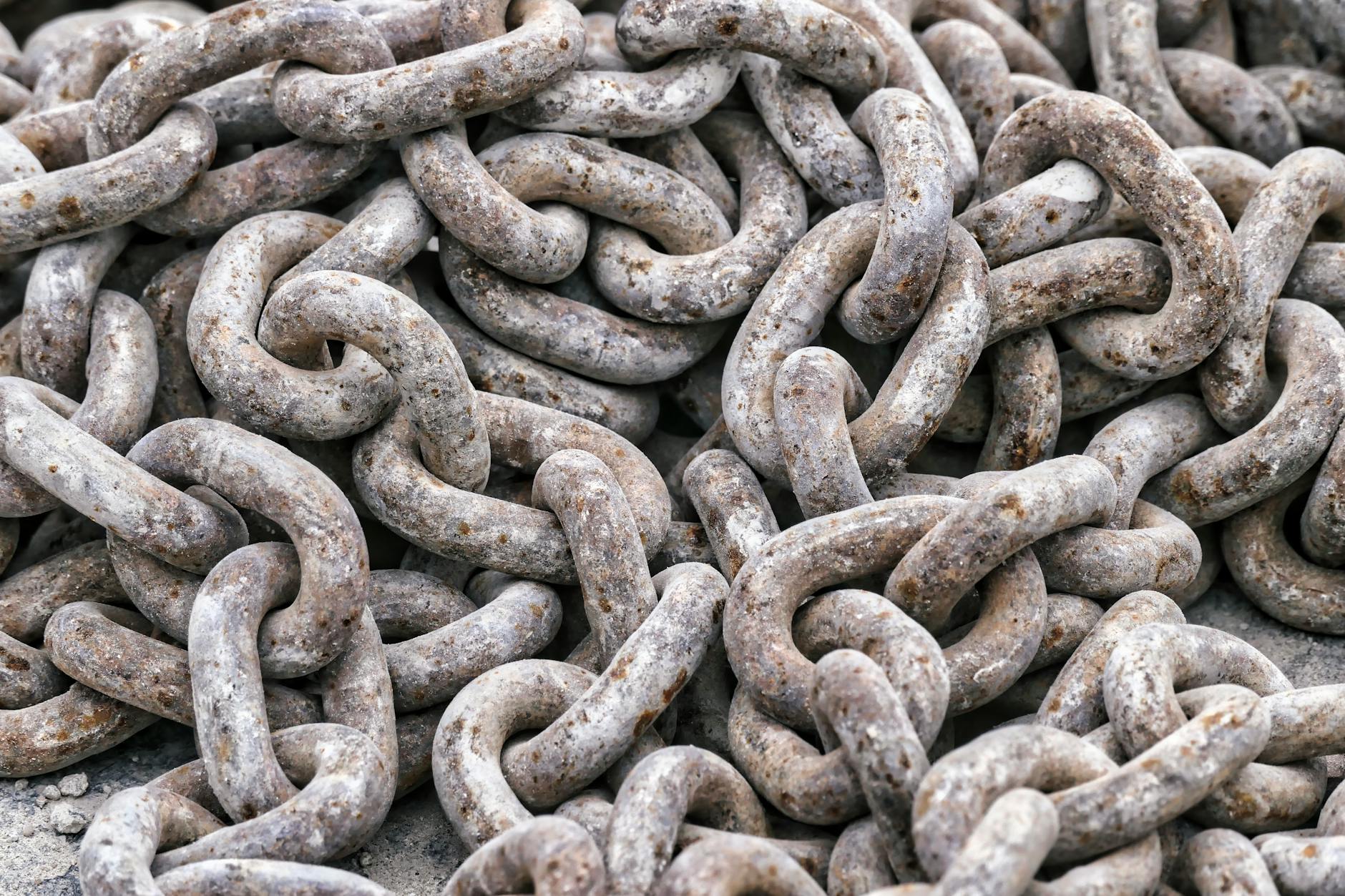 The Supply Chain Vulnerability That Exposed 400,000 WordPress Installations