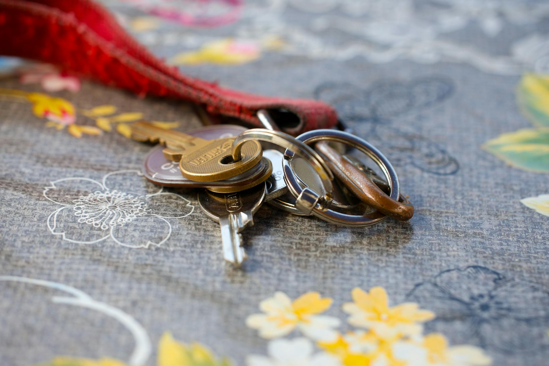 What Are the Key Signs Your Magento Site Was Hit in the February 2026 Attack?