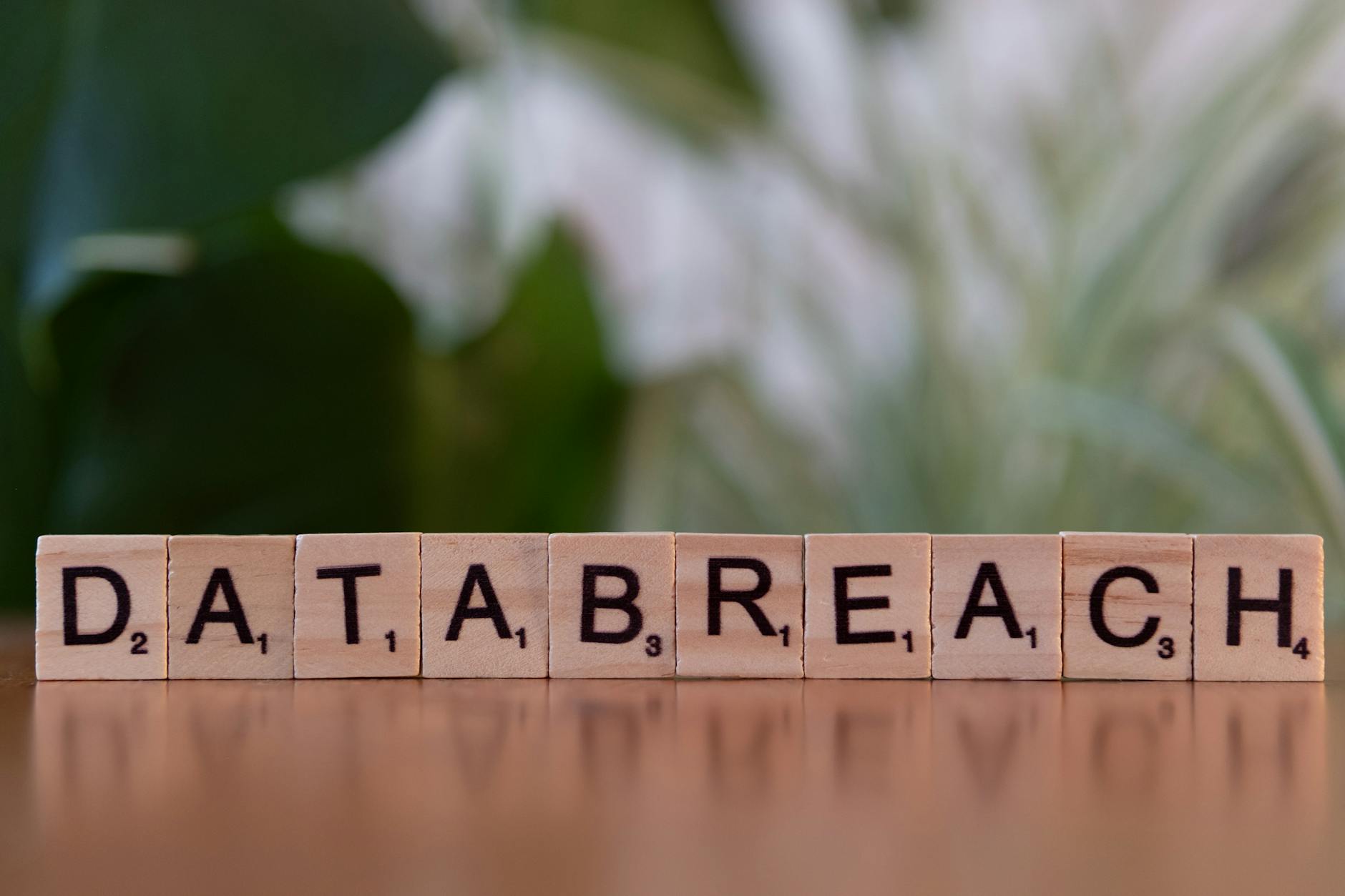 Wix Vulnerability Database Adds 23 New CVEs This Month - Featured image
